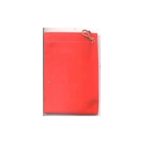 Red Velveteen Bag