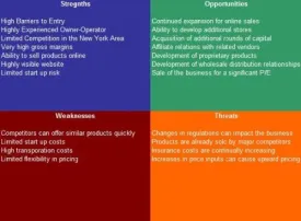 Sports Agent SWOT Analysis Plus Business Plan