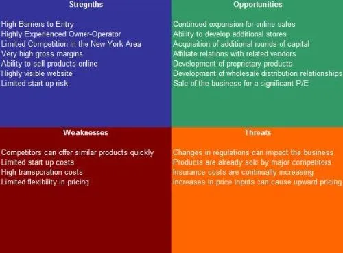 Sports Agent SWOT Analysis Plus Business Plan