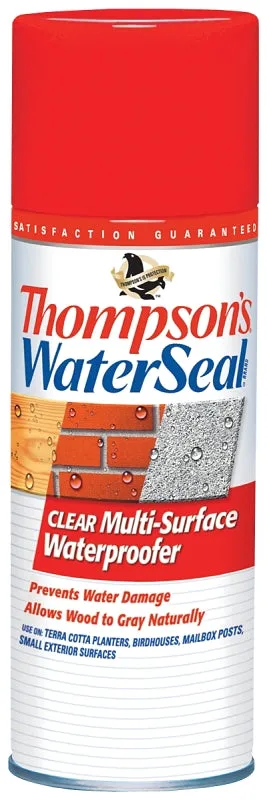 Thompson's WaterSeal TH.10100-18 Waterproofer, Clear, 12 oz, Aerosol Can :EA: QUANTITY: 1